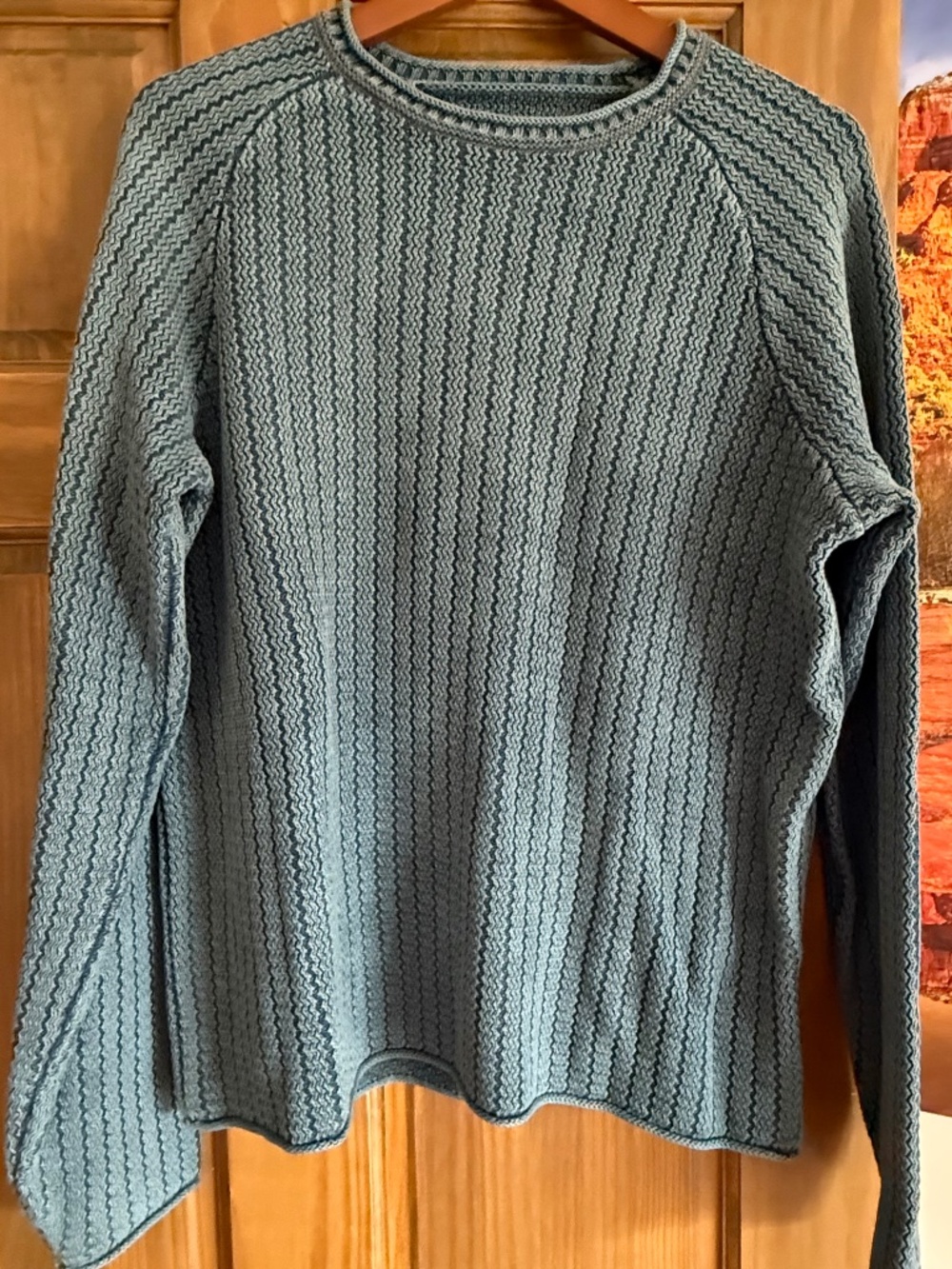 Carbon2Cobalt sweater (men)